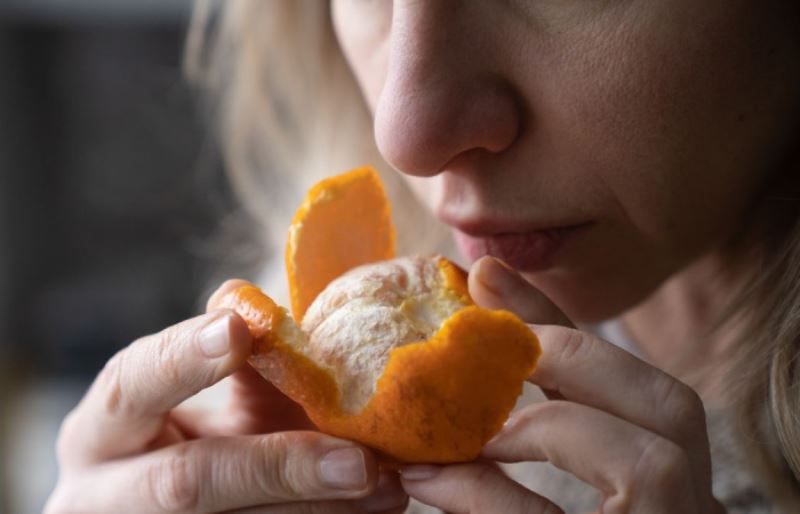 Koku ve tat geçmişe yönelik belleği uyarıyor