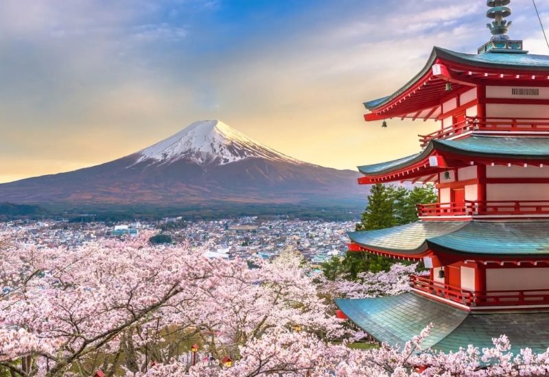 Japonya’da çiçekler açıyor