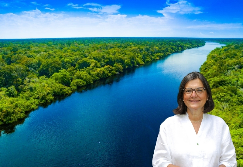 Madencilik izinleri ormanların ve su varlıklarının geleceğini tehdit ediyor