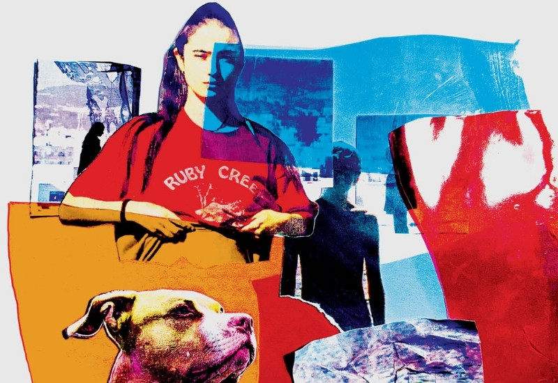 Frankofon Film Festivali başlıyor