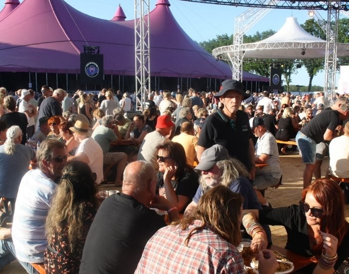 Hollanda Uluslararası Blues Festivali