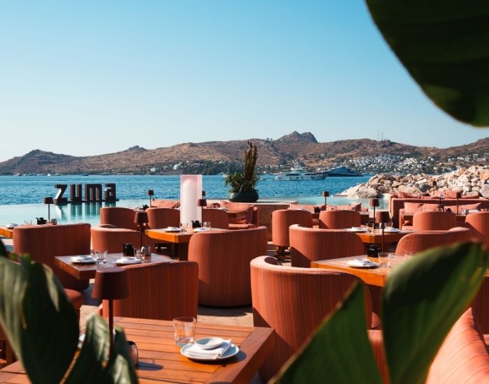 Zuma tekrar Bodrum’da