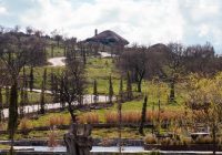 Yüzü doğaya dönük çiftlik “Manici Çiftlik”