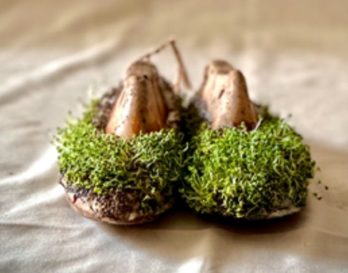 Ekolojik Sergi "HAD"