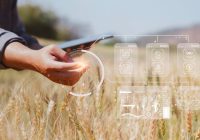 Yapay zeka teknolojisi tarımı dönüştürüyor