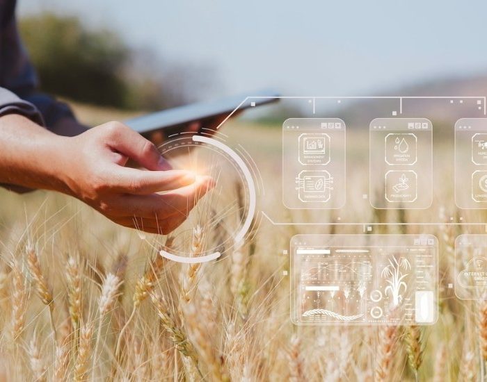 Yapay zeka teknolojisi tarımı dönüştürüyor