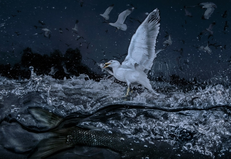 Saygun Dura “ARADA” sergisi ile sanatsever ile buluşuyor