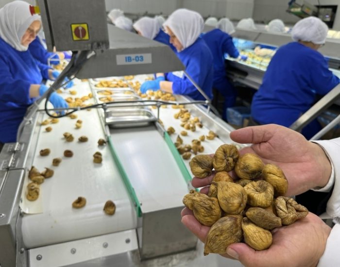 Kuru incirin ortalama ihraç fiyatı 6 bin doları aştı