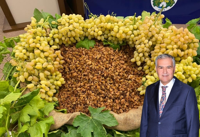İklim değişikliği üzüm rekoltesinde kayıplara neden oldu