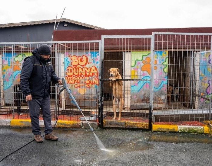 Kärcher Türkiye hayvan barınağını temizledi