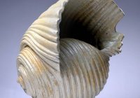 “EKOL TATBİKİ 4" karma sergi