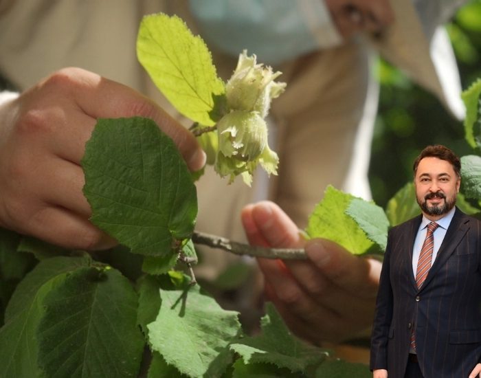 Ferrero Fındık, Türk ekonomisine 1,4 Milyar avro katkı sağladı