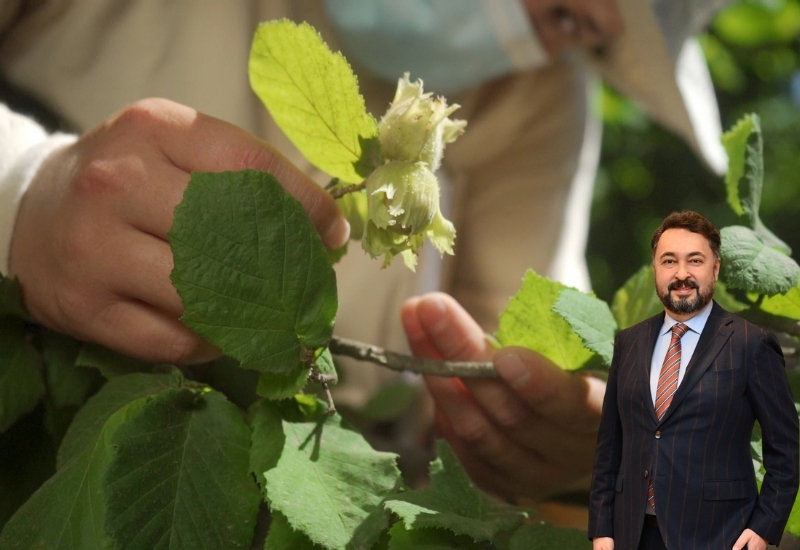 Ferrero Fındık, Türk ekonomisine 1,4 Milyar avro katkı sağladı