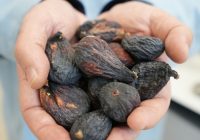 İncirdeki yeni yıldızı "Siyah orak"