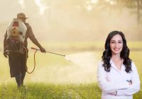 Sağlıklı beslenmenin görünmeyen tehdidi: Pestisit