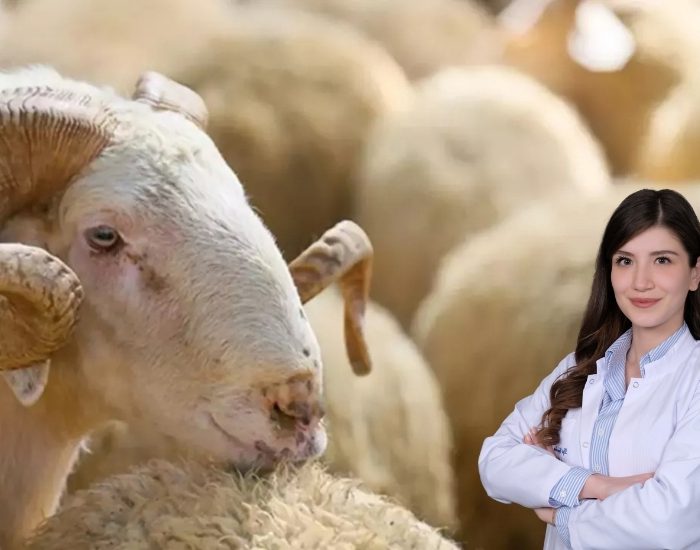 Günün her öğününde et tüketmeyin!