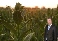 Tütün sektörü 7 yıl sonra ihracatta 1 milyar dolar aştı