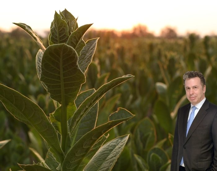 Tütün sektörü 7 yıl sonra ihracatta 1 milyar dolar aştı