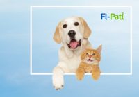 Fibasigorta, Fi-Pati ile evcil hayvan sigortasında yeni dönem