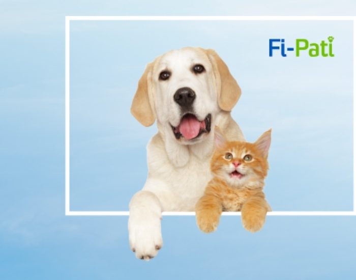 Fibasigorta, Fi-Pati ile evcil hayvan sigortasında yeni dönem