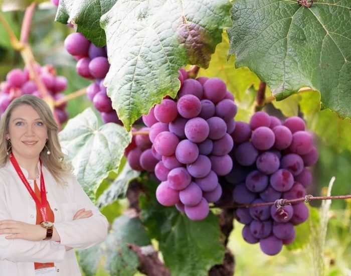 Antioksidan deposu üzümün 6 önemli yararı