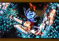 ‘Gündelik Mucizeler’ karma dergi