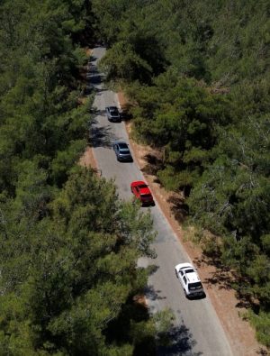 Hyundai 1 Milyon ağaç dikti