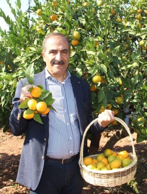 Türkiye, 2024 yılında 41 farklı ülkeye satsuma mandalina ihraç edecek