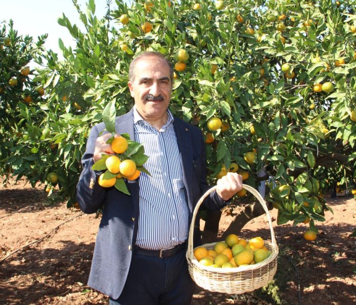 Türkiye, 2024 yılında 41 farklı ülkeye satsuma mandalina ihraç edecek