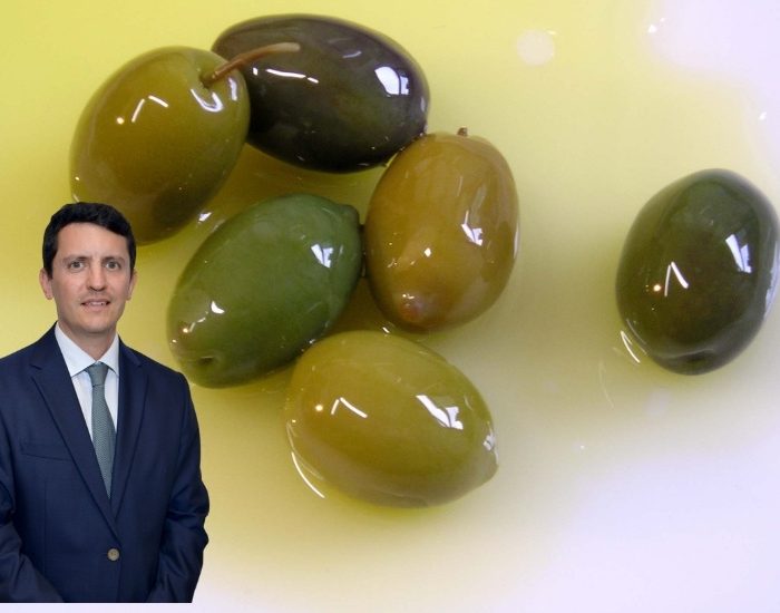 Sofralık zeytin ihracatında tarihi rekor