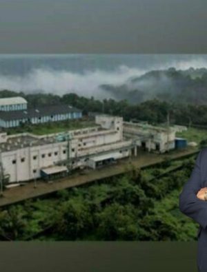 Türkiye, 2030’da 215 Milyon Dolarlık saç bakım pazarına liderlik edecek