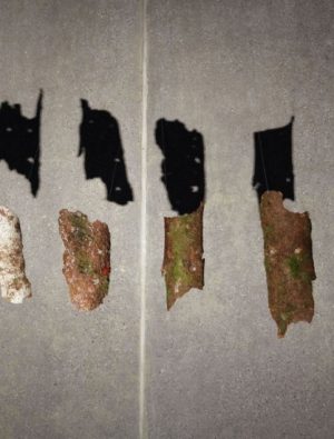 Arter Kasım’da Bellek ve hicvi buluşturuyor