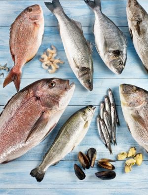 Ege’den 90 ülkeye protein ihracatı