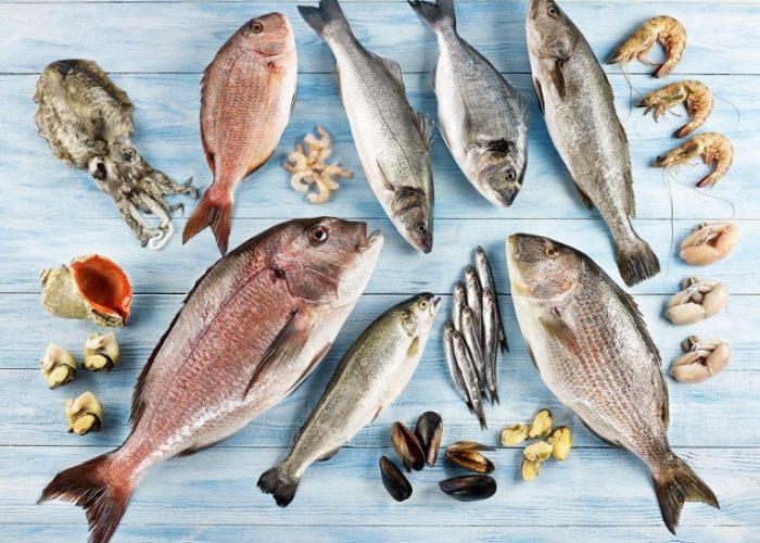 Ege’den 90 ülkeye protein ihracatı