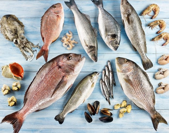 Ege’den 90 ülkeye protein ihracatı