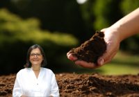 TEMA Vakfı: “Sağlıklı Kentler İçin Sağlıklı Topraklar Şart”