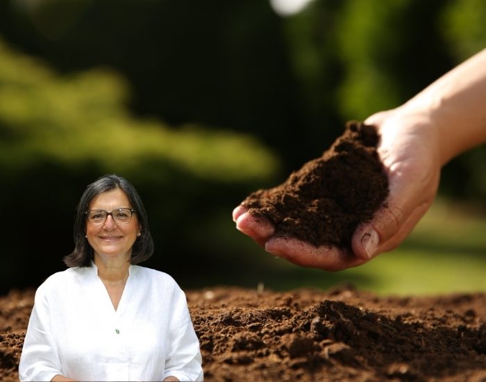 TEMA Vakfı: “Sağlıklı Kentler İçin Sağlıklı Topraklar Şart”