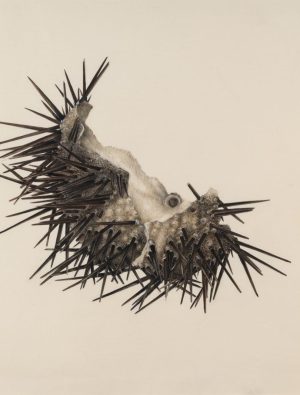 Melike Abasıyanık Kurtiç’ten yeni sergi