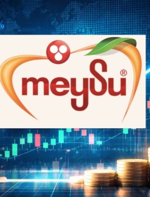 Meysu Gıda halka arz için SPK onayı aldı