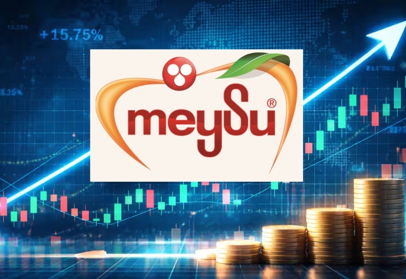 Meysu Gıda halka arz için SPK onayı aldı