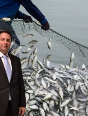 Su Ürünleri ve Hayvansal Mamuller İhracatı 4 Milyar Dolara Ulaştı