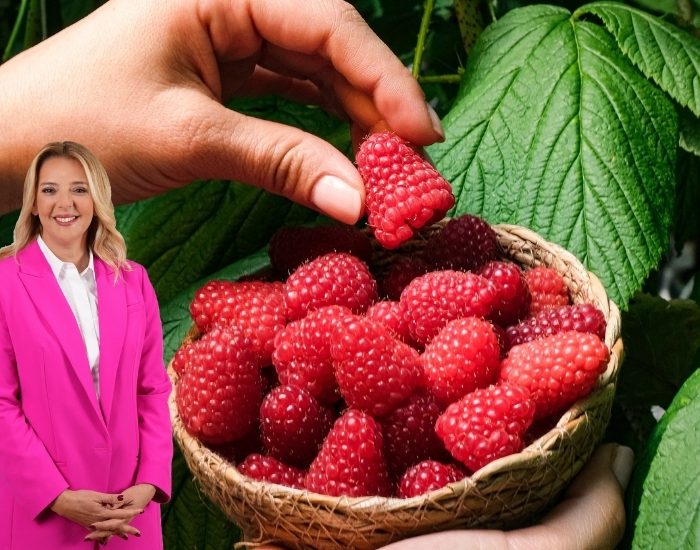 Antalya’daki Felaket Sonrası Elara Tarım’dan Drenaj Çözümleri