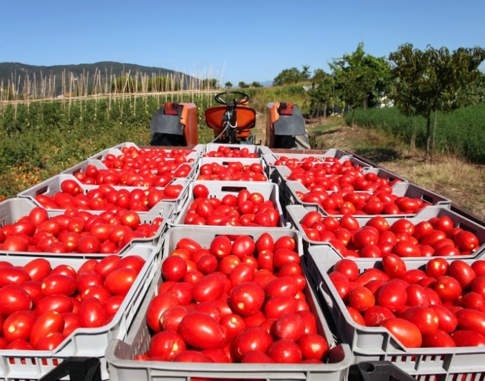 Ege Bölgesi Tarım İhracatında 7,5 Milyar Doları Aştı 