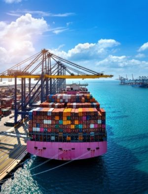 Türk İhracatçısı İçin Pazar Payı Sabit, Rekabet Artıyor 