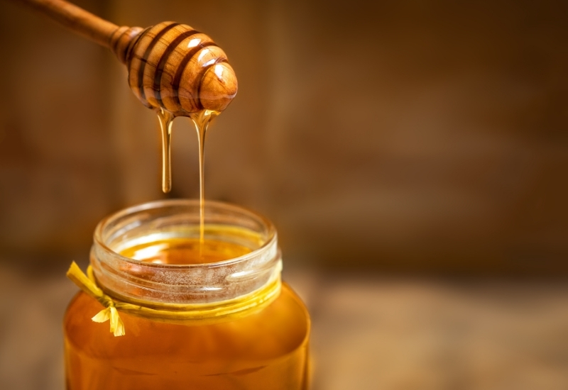 Manuka’ya Rakip: Türk Çam Balı İçin 24 Aylık Ar-Ge Hamlesi