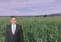ETİ’den Yerli ve Dayanıklı “Kanatlı Buğdayı”