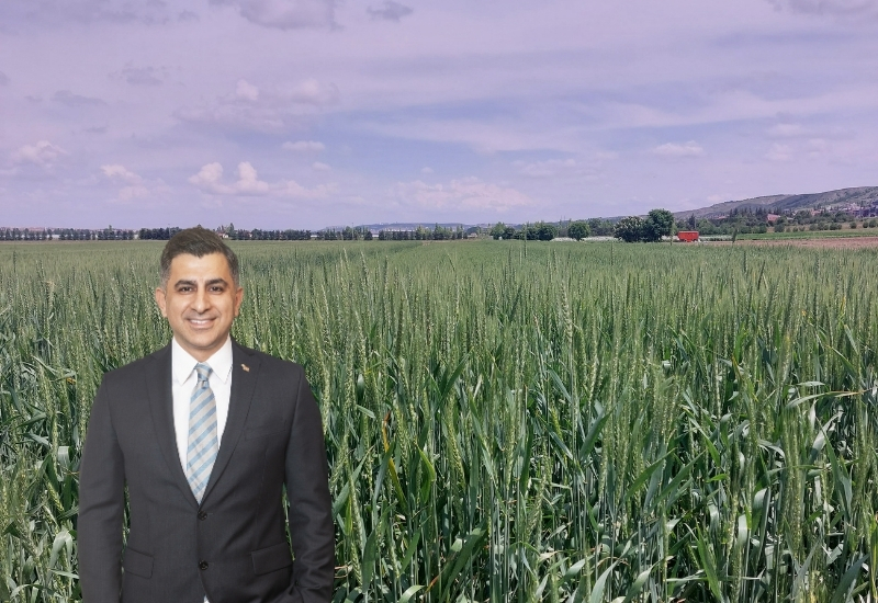 ETİ’den Yerli ve Dayanıklı “Kanatlı Buğdayı”