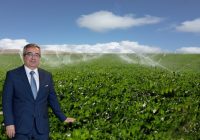 Türk Şirketi Afrika’da Entegre Tarım Modeli Kuruyor