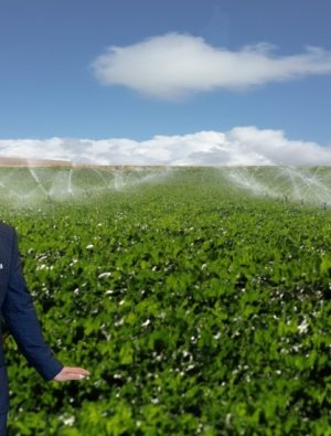 Türk Şirketi Afrika’da Entegre Tarım Modeli Kuruyor