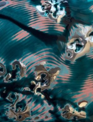 Ruzy Gallery’de Bahar: Tom Fellows’un ‘CONCENTRATE’ Sergisi
